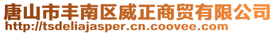 唐山市豐南區(qū)威正商貿(mào)有限公司