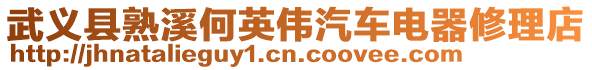 武義縣熟溪何英偉汽車電器修理店