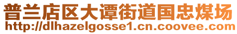 普蘭店區(qū)大譚街道國忠煤場