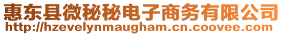 惠東縣微秘秘電子商務(wù)有限公司