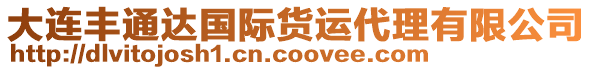 大連豐通達國際貨運代理有限公司