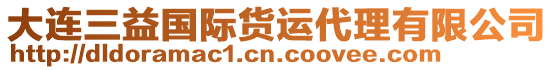 大連三益國(guó)際貨運(yùn)代理有限公司