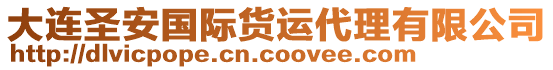 大連圣安國際貨運代理有限公司