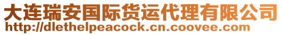 大連瑞安國(guó)際貨運(yùn)代理有限公司