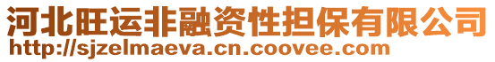 河北旺運非融資性擔保有限公司