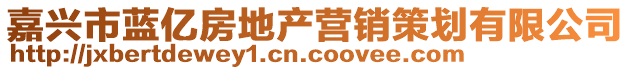 嘉興市藍(lán)億房地產(chǎn)營(yíng)銷策劃有限公司