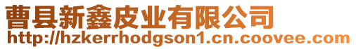 曹縣新鑫皮業(yè)有限公司