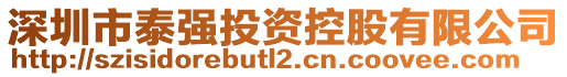 深圳市泰強(qiáng)投資控股有限公司