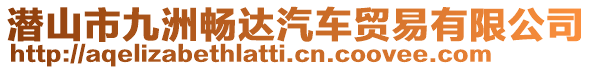 潛山市九洲暢達汽車貿易有限公司