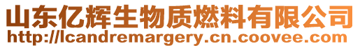 山東億輝生物質(zhì)燃料有限公司