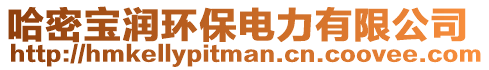 哈密寶潤環保電力有限公司