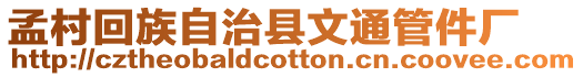 孟村回族自治縣文通管件廠