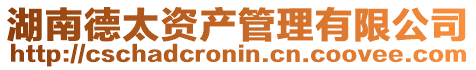 湖南德太資產(chǎn)管理有限公司