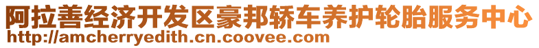 阿拉善經濟開發區豪邦轎車養護輪胎服務中心