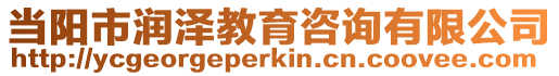 當陽市潤澤教育咨詢有限公司