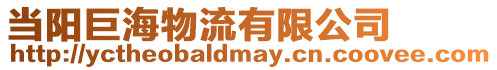 當陽巨海物流有限公司