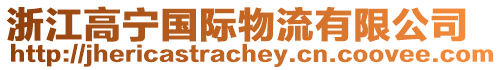 浙江高寧國(guó)際物流有限公司