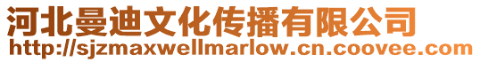 河北曼迪文化傳播有限公司