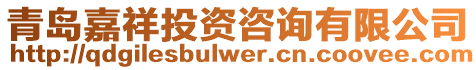 青島嘉祥投資咨詢有限公司