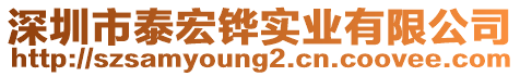 深圳市泰宏鏵實業有限公司