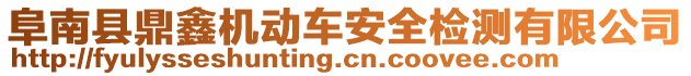 阜南縣鼎鑫機動車安全檢測有限公司