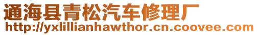 通海縣青松汽車修理廠