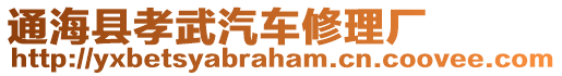 通海縣孝武汽車修理廠