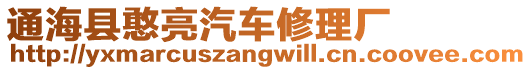 通海縣憨亮汽車修理廠