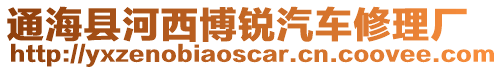 通海縣河西博銳汽車修理廠