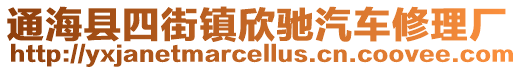 通海縣四街鎮(zhèn)欣馳汽車修理廠