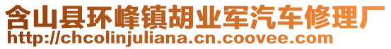 含山縣環(huán)峰鎮(zhèn)胡業(yè)軍汽車修理廠