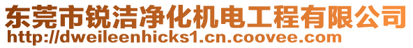 東莞市銳潔凈化機電工程有限公司