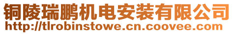 銅陵瑞鵬機電安裝有限公司
