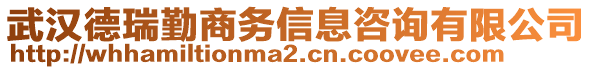 武漢德瑞勤商務(wù)信息咨詢有限公司