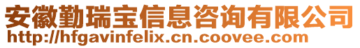 安徽勤瑞寶信息咨詢有限公司