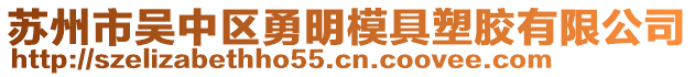 蘇州市吳中區(qū)勇明模具塑膠有限公司