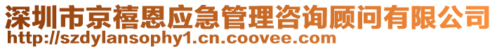 深圳市京禧恩應(yīng)急管理咨詢顧問(wèn)有限公司