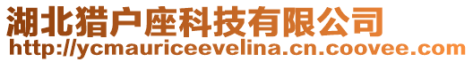 湖北獵戶座科技有限公司