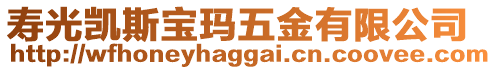 壽光凱斯寶瑪五金有限公司