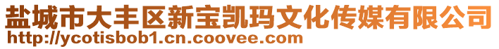 鹽城市大豐區(qū)新寶凱瑪文化傳媒有限公司