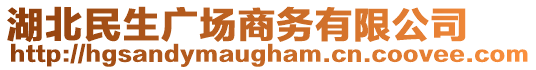 湖北民生廣場商務(wù)有限公司