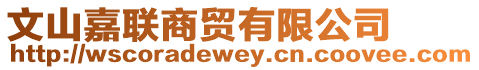 文山嘉聯商貿有限公司