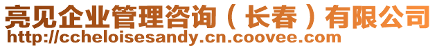 亮見(jiàn)企業(yè)管理咨詢（長(zhǎng)春）有限公司