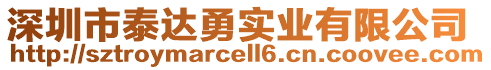 深圳市泰達(dá)勇實(shí)業(yè)有限公司