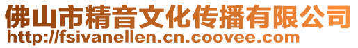 佛山市精音文化傳播有限公司