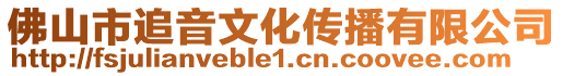 佛山市追音文化傳播有限公司