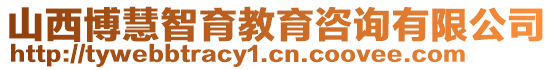 山西博慧智育教育咨詢有限公司