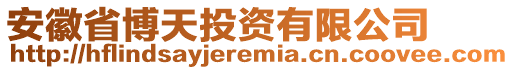 安徽省博天投資有限公司