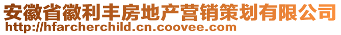 安徽省徽利丰房地产营销策划有限公司