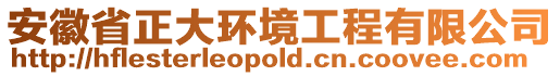 安徽省正大環(huán)境工程有限公司